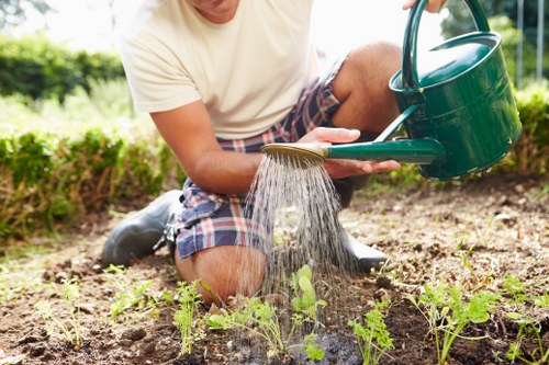 Gardener trimming a hedge in St Johns Wood