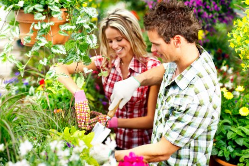Local garden maintenance experts working on landscaping