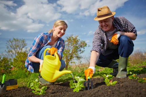 Sustainable gardening practices in a St Johns Wood garden