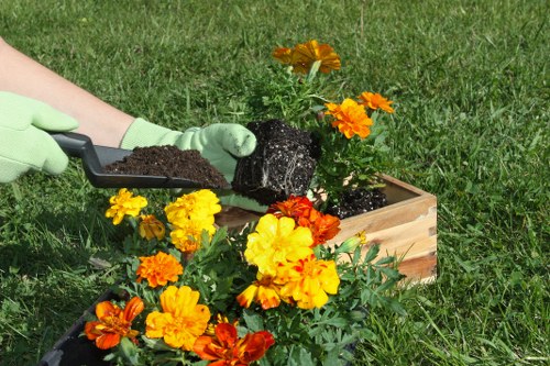 Seasonal flowers in a landscaped garden